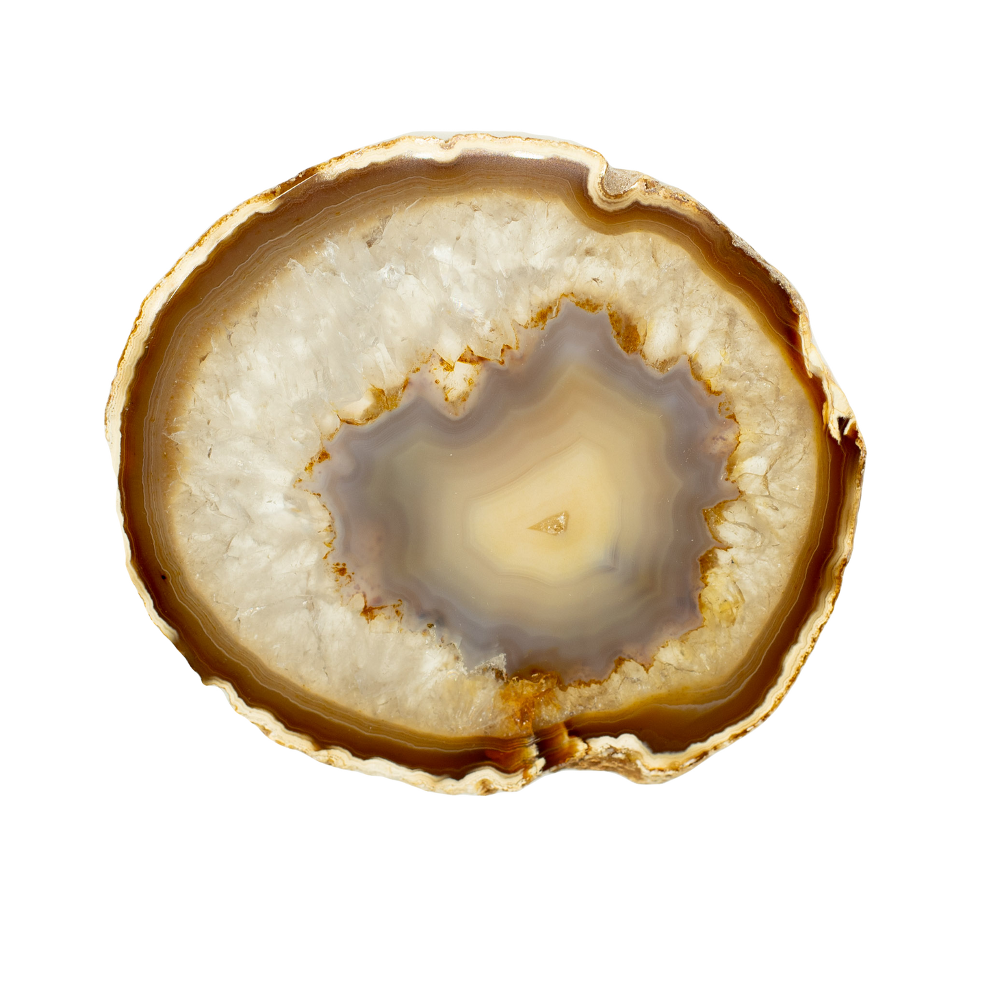 A10 Agate Slice Natural (8" to 10") (pre-order)