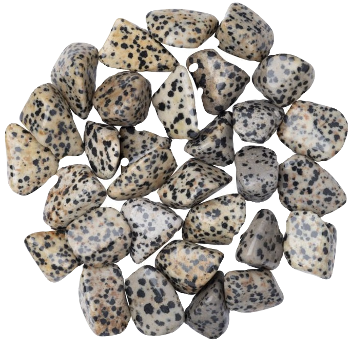 Dalmation Jasper Tumblestone