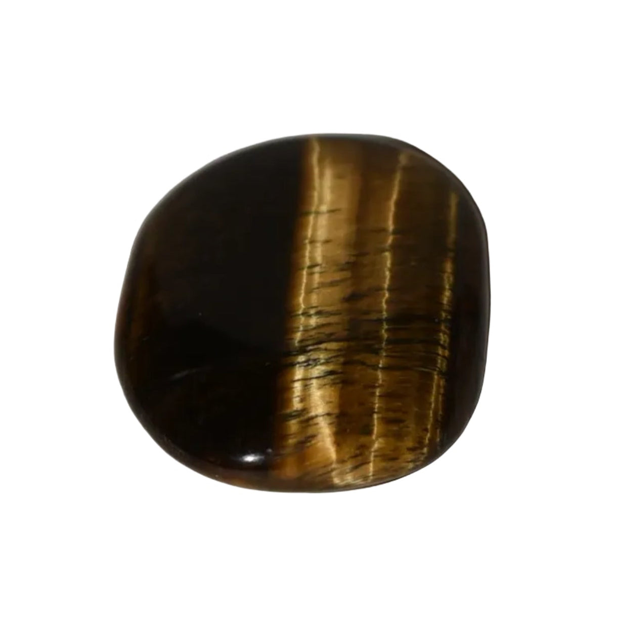 TIGER EYE PALMSTONE