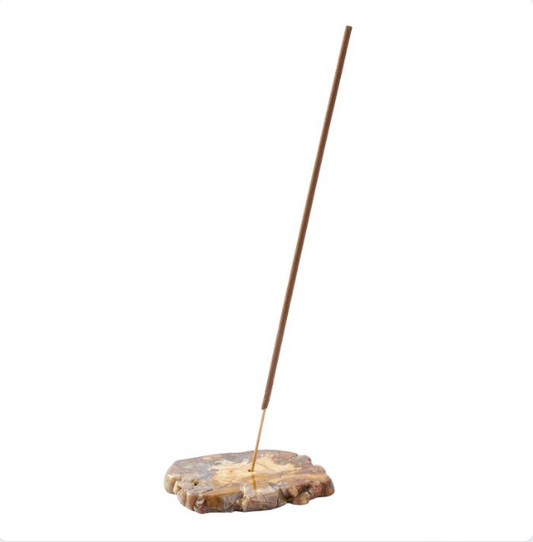 Petrified Wood Slab Incense Holder