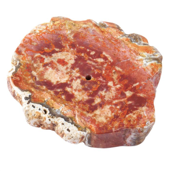 Petrified Wood Slab Incense Holder
