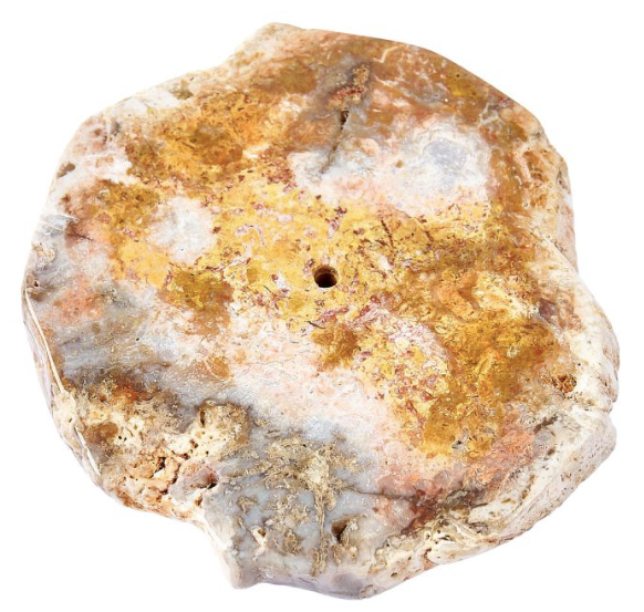 Petrified Wood Slab Incense Holder