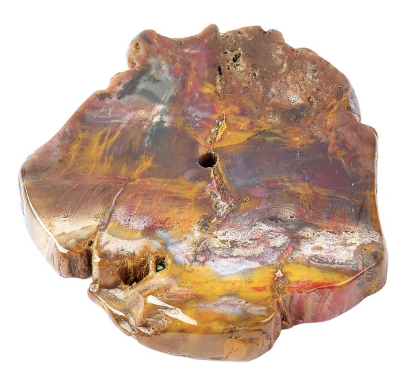 Petrified Wood Slab Incense Holder